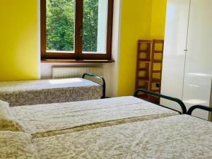 2 camas en una habitación con paredes amarillas y ventana en Foresteria Miramonti affittacamere, en Fiavè