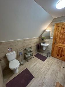 La salle de bains est pourvue de toilettes et d'un lavabo. dans l'établissement Chata pod Kyčerou, à Terchová