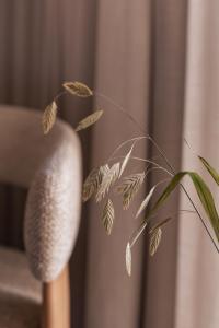 Fotografie z fotogalerie ubytování Nobis Hotel Palma, a Member of Design Hotels v destinaci Palma de Mallorca