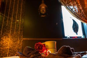TV a/nebo společenská místnost v ubytování Hotel Galicja Wellness & SPA