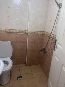 a bathroom with a toilet and a shower stall at Fatih Eco 3 Apart in Istanbul