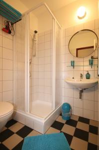 a bathroom with a shower and a toilet and a sink at Pension Alba in Görlitz