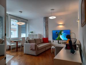 TV a/nebo společenská místnost v ubytování Apartment Ganymede