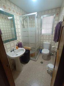 La salle de bains est pourvue de toilettes, d'un lavabo et d'une douche. dans l'établissement Piso Centro Torremolinos, à Torremolinos