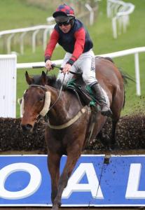 a jockey riding a horse jumping over a hurdle at Dunleath House in Downpatrick