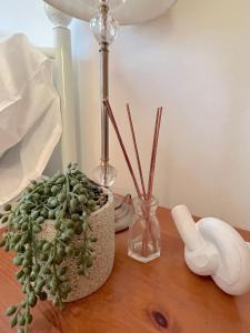 a table with a plant in a vase and a lamp at Blue Poppy in London