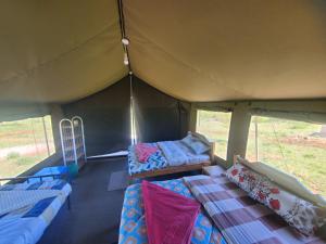 Krevet ili kreveti na sprat u jedinici u okviru objekta SEMADEP SAFARI CAMP