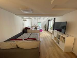 Schlafzimmer mit einem Bett und einem Flachbild-TV in der Unterkunft Ferienwohnungen zu St. Johann in Konstanz