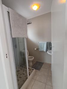 a bathroom with a shower and a toilet and a sink at Private & Spacious Olive cottage in Bloubergstrand in Cape Town
