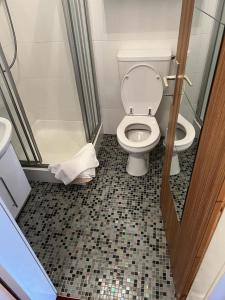 La petite salle de bains est pourvue d'une douche et de toilettes. dans l'établissement Kronplatz Mountain Lodge, à Brunico