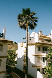 een palmboom voor een gebouw bij Casa Jilou in Mijas Costa