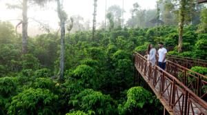 Hosté ubytování Niyatma Wayanad Pool Resort by VOYE HOMES + 37 fotografií