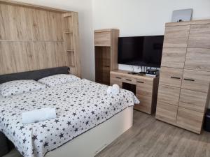 Postel nebo postele na pokoji v ubytování Garsoniera DUKLA 289