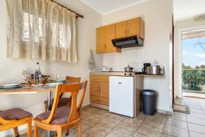 Kuchyňa alebo kuchynka v ubytovaní Efrosyni apartment