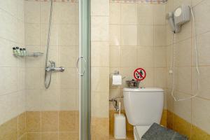 a bathroom with a shower and a white toilet at Efrosyni apartment in Markópoulon