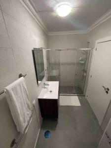 a bathroom with a shower and a sink and a mirror at Elm Apartament in Sagres