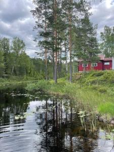 een rood huis op een heuvel naast een rivier bij Svingom - hytte uten strøm og vann 