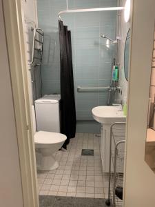 a bathroom with a toilet and a sink at 2BR Apartment, free parking - Peikontie in Oulu +31 photos