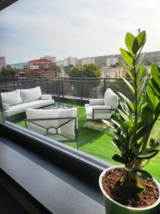 a view of a balcony with a couch and a plant at Best View Terrace in Târgu-Mureş