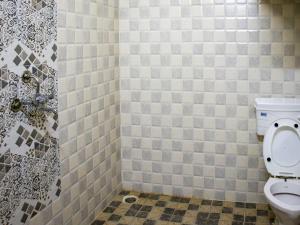 uma casa de banho com um WC e um chuveiro em azulejo em snooze inn jodhpur em Jodhpur