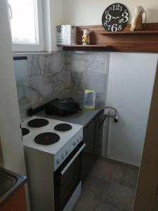 Il comprend une petite cuisine équipée d'une cuisinière et d'un comptoir. dans l'établissement Kuća Jovanka, à Zaječar