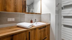 een badkamer met een wastafel en een spiegel bij Aux Fleurs de Darcy Confort Centre Ville in Dijon +16 foto's