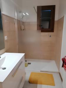 ein Bad mit einer Dusche und einem weißen Waschbecken in der Unterkunft Pour une halte aux portes de Bourgoin 