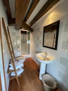 a bathroom with a sink and a toilet and a mirror at Le relais de Mantelot in Châtillon-sur-Loire