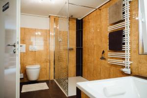 a bathroom with a shower and a sink and a toilet at Idylische Ferienunterkunft in Heitersheim +20 photos