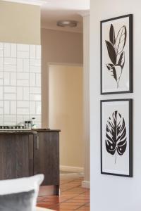 dos impresiones enmarcadas de plantas en una pared en una cocina en Q on Westford en Ciudad del Cabo