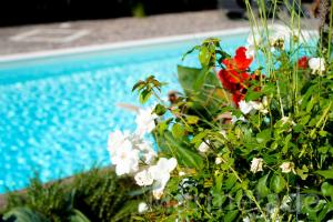 un mazzo di fiori accanto alla piscina di Marmelade a Zagarolo