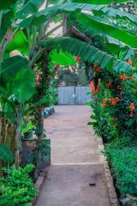 un giardino con arco con piante e fiori di Royal Wonders Hotel a Moshi
