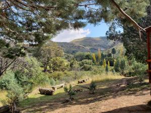 a group of benches in a field with mountains in the background at Old Mill Drift Guest Farm in Clarens