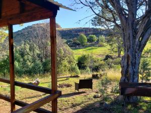 a view from the porch of a cabin with a tree at Old Mill Drift Guest Farm in Clarens