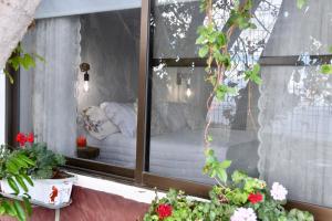Vonkajšia záhrada v ubytovaní Casa Rural Venus