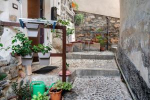 an alley with potted plants on the side of a building at Grazioso open space in Sanremo