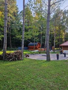een park met een bank en bomen bij "Las po pas" domki na Roztoczu - Horyniec-Zdrój 