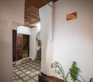 a hallway with white walls and plants in a room at Dar Dahab in Fez