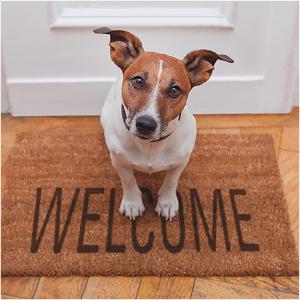 un perro pequeño parado en una alfombra de bienvenida en Barbacan Boutique Hotel, en Trieste