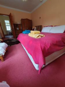 a bedroom with a large bed with a pink blanket at Lily's Place - up to 4 persons in Birr