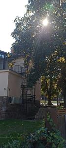 a house with a tree in front of a building at Villa Fonyód in Fonyód