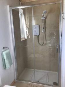 a shower with a glass door in a bathroom at The Snuggly Sheep Farm Stay Shepherd Hut in Ballyshannon