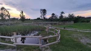 una granja con una valla y un estanque en un campo en Alda House, en Castel Volturno