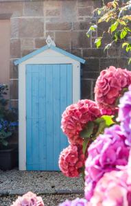 a blue and white birdhouse next to pink flowers at Westwood Cottage in Dundee