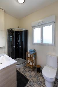uma casa de banho com um chuveiro, um WC e um lavatório. em Gîte au milieu des vignes em Prignac-et-Marcamps