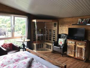 a living room with a couch and a tv in a room at Obere-Seeterrasse in Rieden