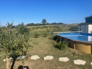 einen Hinterhof mit Pool und Apfelbaum in der Unterkunft Aux Aigrettes in Gousse