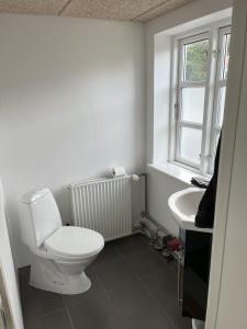 a white bathroom with a toilet and a sink at Luksus Shelter med vildmarksbad in Flemming