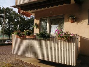 Zahrada ubytování Appartamento Casa Corrada