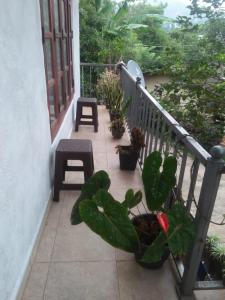 Balkón nebo terasa v ubytování The Jesmine Homestay + 1 fotografie